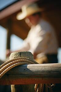Rope on fence