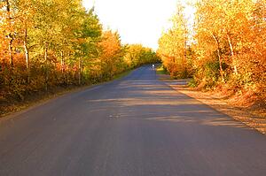 A road in autumn
