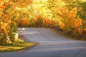 A scenic road in autumn