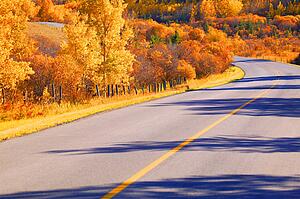 A scenic road in autumn