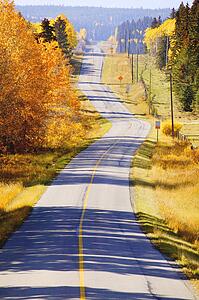 A deserted road