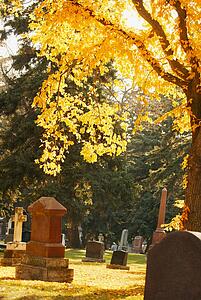 A graveyard in autumn