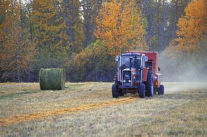 Tractor in field