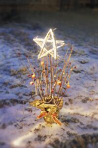 A star in a gift