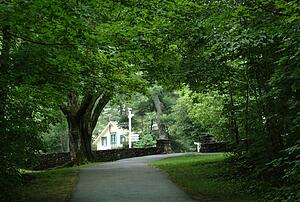 A cottage among trees
