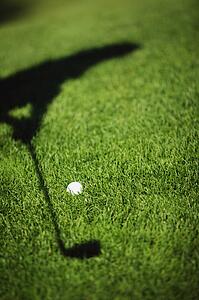 On the fairway