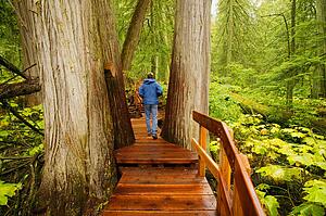 Man takes a walk
