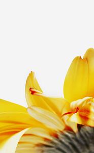 A yellow flower