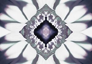 A flower kaleidoscope