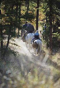 Trail riding