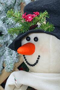 Close-Up of Snowman