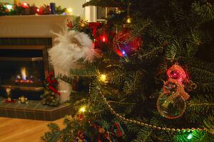 Living room with Christmas tree and fireplace