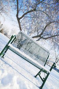 A bench alone in a park in winter