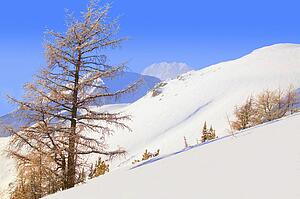 View of a mountain