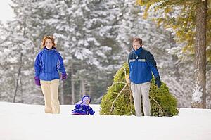 Family pulling Christmas tree and toddler