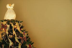 The top of a Christmas tree