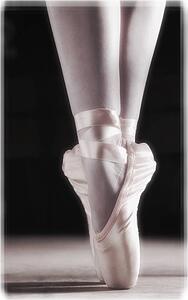 Ballet slippers