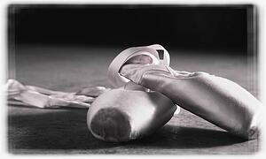 Ballet slippers