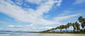 A tropical island