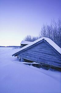 A wayward roof