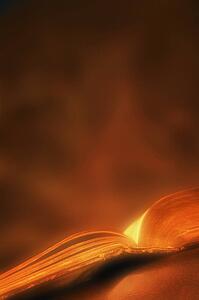 A book
