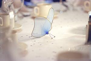 A party favor