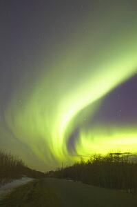 Northern lights Alberta Canada