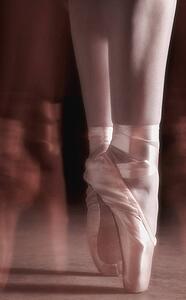 Ballet slippers
