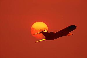 Airplane in the sky