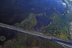 Aerial view of train tracks and water