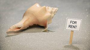 Seashell for rent