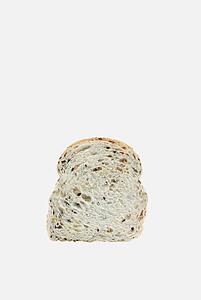 A piece of bread