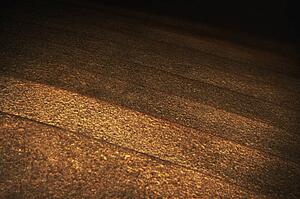 Speckled steps