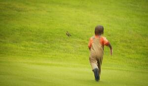 Boy chases bird