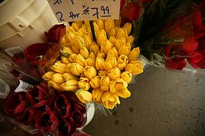Flowers for sale