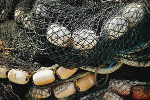 Fish nets