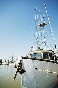 Boat in a harbor