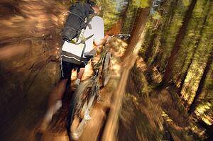 A mountain biker
