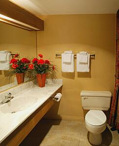 A washroom in a hotel