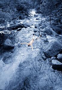 Body in a stream