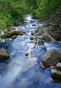 A body in a stream