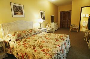 Hotel room floral