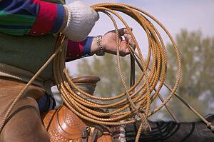 Cowboy on horseback preparing lasso