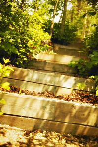 Outdoor stairway