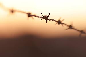 Closeup of a wire fence