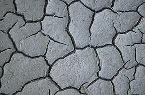 Cracked dirt