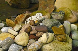 Rocks