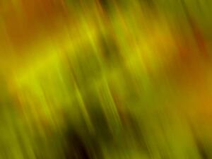 A wispy texture