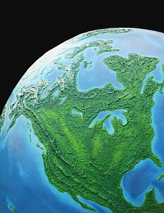 A globe