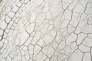 cracks and fissures